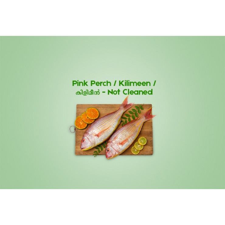 Pink Perch / Kilimeen / കിളിമീൻ (500gm) - Not Cleaned